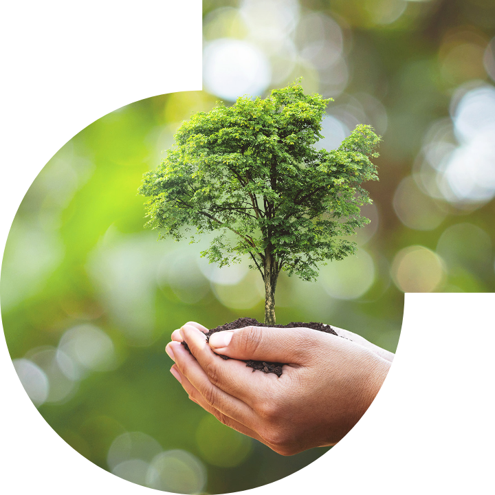 关怀人类、文化、环境与社会